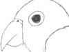 ぺぺちゃん