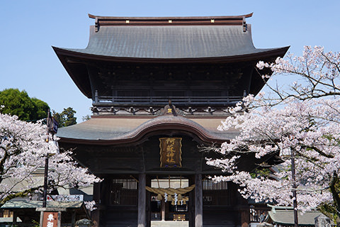 [写真]阿蘇神社 楼門